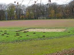 Sonntag im dezember von 14:00 bis 18:30 Sportplatz Am Stadtpark Stadion In Leverkusen