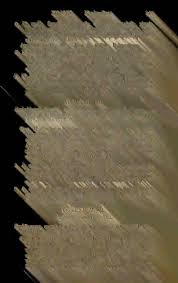 Prodromus florae Novae Hollandiae et insulae Van?Diemen, exhibens  characteres plantarum quas annis 1802?1805