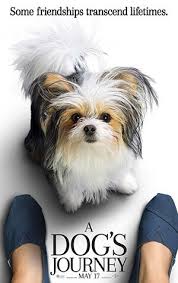 Pin By Universal Pictures On A Dog S Journey A Dog S Journey Full Movies Dogs