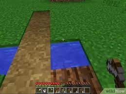 This hole (stone brick as shown in my picture) is where all of your cacti will gather once they grow. 4 Ways To Plant Seeds In Minecraft Wikihow