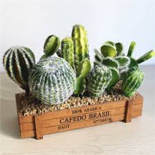 Ein kaktus hat es im europäischen winter nicht leicht. 1 Stucke Kunstliche Pflanzen Lebendige Kaktus Dekoration Kunstliche Blume Hochzeit Party Schlafzimmer Buro Dekorationen Artificial Plants Aliexpress
