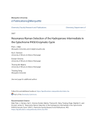 Resonance Raman Detection of the Hydroperoxo Intermediate in the Cytochrome  P450 Enzymatic Cycle