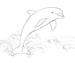 Dolphins Coloring Pages Free Coloring Pages Dolphin Coloring Pages Whale Coloring Pages Puppy Coloring Pages