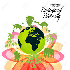Check spelling or type a new query. International Day For Biological Diversity Royalty Free Cliparts Vectors And Stock Illustration Image 101913013