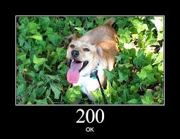 503 error with the best meme generator and meme maker on the web, download or share the i can't wait to browse ruqqus today! Http Status Dogs