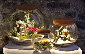 thun switzerland by kate