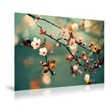 13x13cm 0,24 €* 0,14 €*. Fotoabzug Matt Foto Auf Mattem Papier Drucken