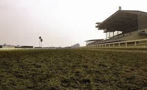Los alamitos race track logo. Los Alamitos Race Course In All Its Decaying Glory Essay Zocalo Public Square