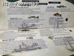See 548 unbiased reviews of pescaria lui matei, rated 4.5 of 5 on tripadvisor and ranked #1 of 21 restaurants in eforie. Ce Bunataturi La Pescaria Lui Matei Impresii Unde MancÄƒm In Zona Agigea Agigea Amfostacolo