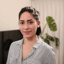 DIVERSIFIED INSURANCE PARTNERS