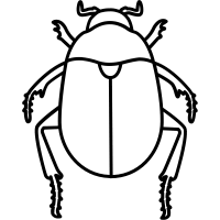 Scarab Beetle Icons Download Free Vector Icons Noun Project Free online drawing application for all ages. https creativecommons org licenses by 3 0