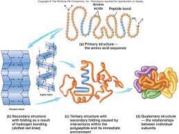 Pin On Biology