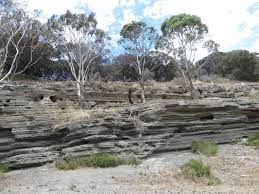 Photograph Colour Lisa Gervasoni Tower Hill Volcanic Ash Layers 2015 25 12 2015 Of volcanic origin such as volcanic ash. colour lisa gervasoni tower hill