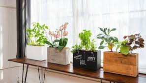 Check spelling or type a new query. Decoration Tips Draw For The Windowsill Inspiration For The Windowsill Decoration Decor10 Blog