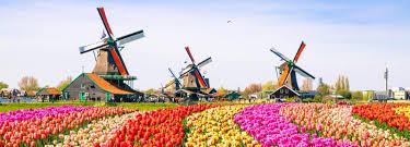 Das im nördlichen westeuropa liegende land wird durch die nordsee. In Die Niederlande Auswandern Auslandslust De