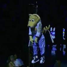 Denver nuggets mascot rocky the mountain lion's motionless body was lowered from the pepsi center ceiling last night before their home opener. Nuggets Mascot Rocky Collapses After Being Lowered From Rafters While Motionless Sports Illustrated