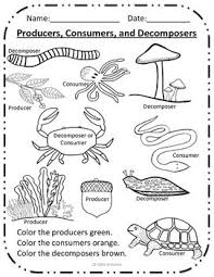 Color The Producers Consumers And Decomposers Freebie Producers Consumers Decomposers Consumers Stem Science Activities