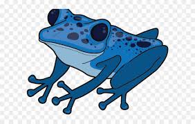 We did not find results for: Blue Poison Dart Frog Clipart Png Download Full Size Clipart 148899 Pinclipart