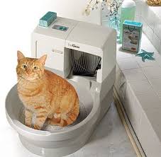 Wonder If I Could Teach The Dog To Use It Too Cat Genie Cat Box Litter Box