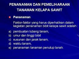 Produksi daun dipengaruhi oleh faktor umur, lingkungan genetik, dan iklim (adi, 2014). Budidaya Kelapa Sawit Cucu Suherman Jurusan Budidaya Fakultas