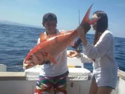Jadi siapa yang kuat ia akan lebih tetap. Bulan Yang Baik Mancing Di Laut Berdasarkan Musim Dan Prediksi Bmkg
