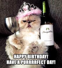 Meme Happy Birthday Funny Cat Birthday In 2020 Happy Birthday Funny Cats Funny Happy Birthday Meme Cat Birthday Memes