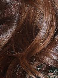 Miranda Kerr Hair Color Mocha Brown With Almond Highlights