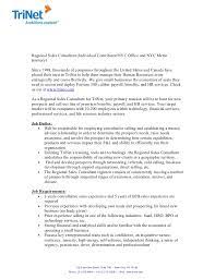 Searches related to financial services consultant jobs. Trinet Regional Sales Consultant Job Description