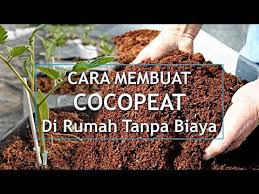 Pembayaran mudah, pengiriman cepat & bisa cicil 0%. Cara Membuat Media Tanam Cocopeat Tanpa Biaya Kamu Harus Coba Ilmu Hidroponik Youtube