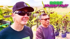 WALLACE RANCH Dragon Fruit Farm MEGA TOUR with NEVA DAY and JULIO ROBLES