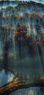 Start your search now and free your phone. Beautiful Nature Phone Backgrounds Page 5 Cool Backgrounds
