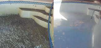 We do full service weekly pool cleaning, pool filter cleaning & replacement, pool repairs, green pool clean ups. Blue Cactus Pool Service Llc Phoenix Arizona Home Facebook