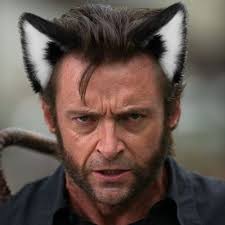 Kaitlin Jeanne Morrell