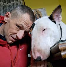 Bull Terrier Owners Share Their Experiences and Photos