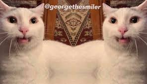 Professor Charlie Squeakbean