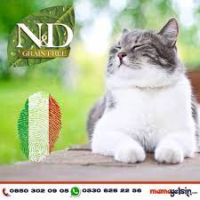 italya nin en gozde mama markasi tahilsiz kisir kedi mamasi ve diger tum kedi kopek mamasi modelleriyle mamagelsin depo su ve raflarindaki yerini aldi