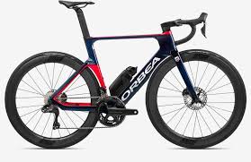 Image result for Orbea maculata