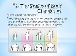 Breast pain is indeed one of the earliest signs of pregnancy. My Breasts Are Hurting Could You Help Me To Stop The Hurt My Bra Makes Me Feel Weird How Can I Choose The Right Bra I Can T Fit Into