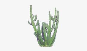 All the best cactus tumblr drawing 32+ collected on this page. Cactus Clip Logo Transparent Tumblr Cactus Free Transparent Png Download Pngkey