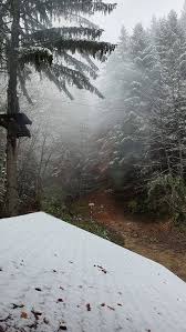 Cel mai scurt dintre trasee are 47 de metri, în timp ce cel mai lung măsoară 273 de metri. Canionul 7 Scari Si Tiroliana 7 Scari Aventi