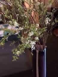 Maybe you would like to learn more about one of these? Mayesh Wholesale Florist 755 Wall St Los Angeles Ca Florists Wholesale Mapquest