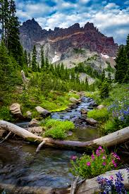 We did not find results for: Canyon Creek Meadows Three Fingered Jack Rick Samco Photography