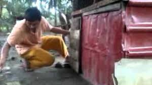 Selain memiliki bulu yang indah, juga bisa mengeluarkan suara yang nyaring dan merdu. Membuat Reban Ayam Mp4 Youtube