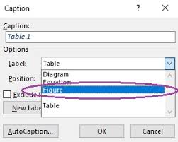 Figure 1) but with a letter what is the cleanest way to do this? How To Create Table Headings And Figure Captions In Microsoft Word Laura Ripper Proofreading And Copy Editing