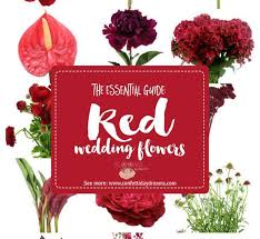Step by step tutorials for bridal bouquets, corsages and boutonnieres, church decorations, including pew bows and flowers, reception centerpieces and backdrops. The Essential Guide To Red Wedding Flowers With Confetti Daydreams