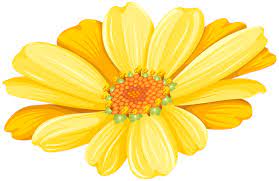 Yellow Daisy Transparent Clip Art Image Pansies Flowers Art Images Light Pink Flowers