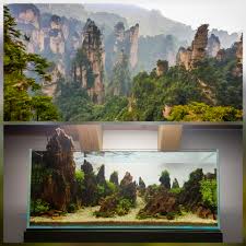 This cement is very pliable when you mix it before will turn as hard as concrete as it sets! I Tried To Make An Aquascape Similar To The Avatar Mountains In Zhangjiajie Yt Link In Comments Aquascape