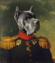 Custom Pet Portrait From Photo Royal Pet Portrait Etsy Dog Portrait Drawing Pet Portraits Custom Pet Portraits