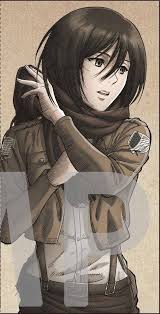 What S Beyond That Attack On Titan Anime Attack On Titan Fanart Titans Anime