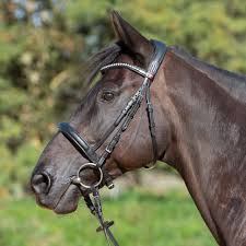 kieffer ultrasoft sue bridle leather browband